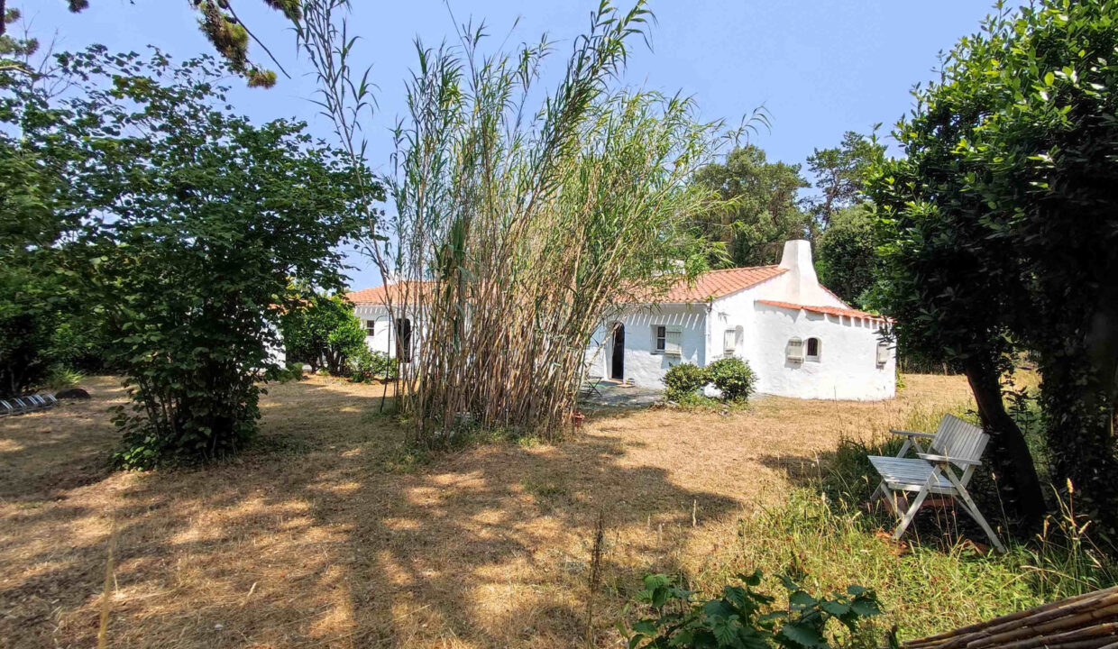 photo_d5e8ba72640fca47d4e51e2e860b1f62