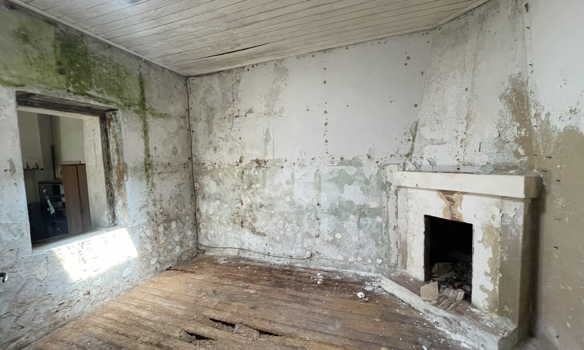 photo_e5089ff0e869e6f8a6b2c8d6af330439