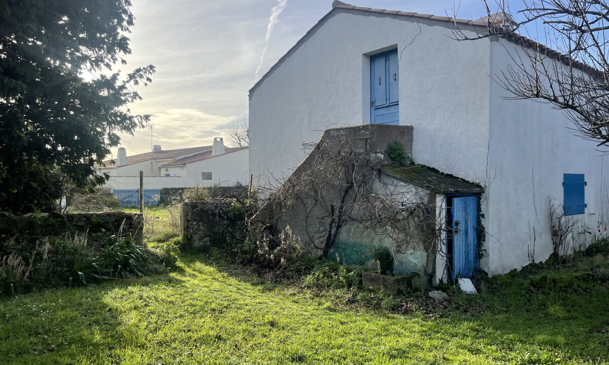 photo_d71a546b8e4eed0e6688f02874dd218c