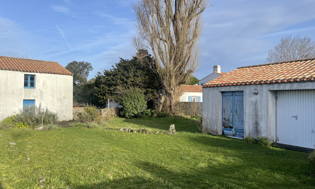 photo_d80f15422c5f1c0a6284197b1b3813ac